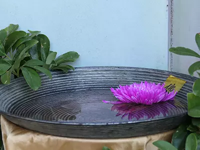 淨水(示意圖僅供參考)